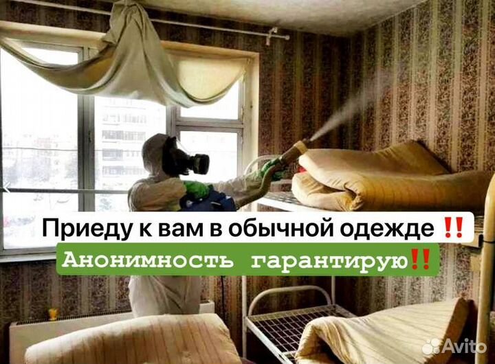 Уничтожение тараканов/клопов/Дезинсекция