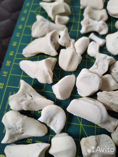 Кости набор