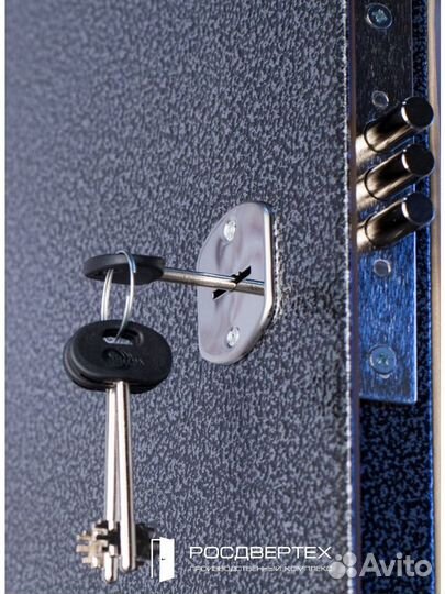 Дверь входная металлическая