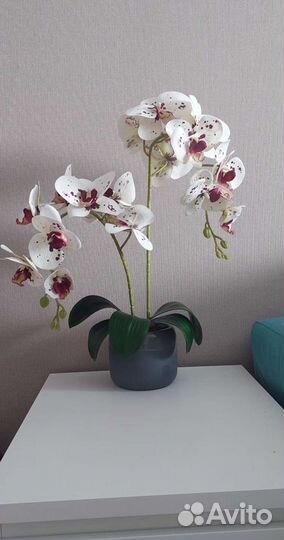 Орхидея искусственная