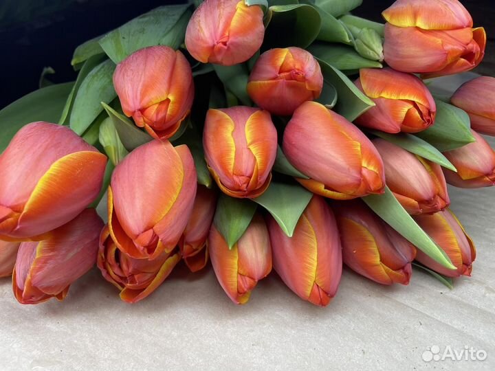 Живые цветы букеты