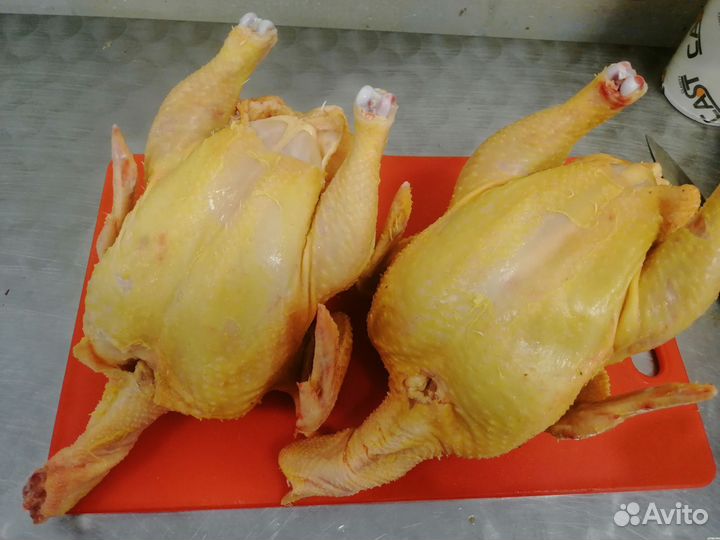 Мясо курица от производителя