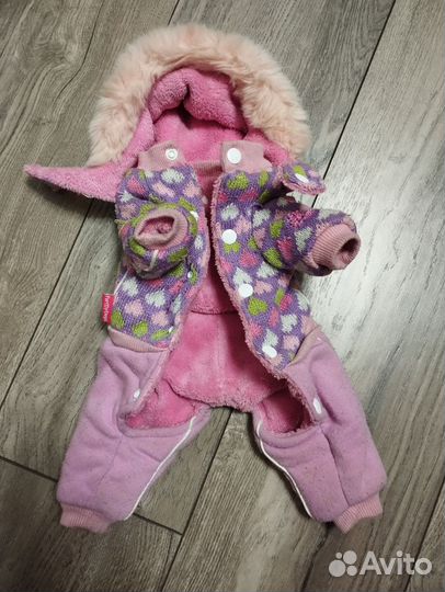 Одежда для собак мелких пород