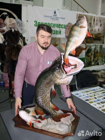 Трофеи из рыб любых видов и размеров