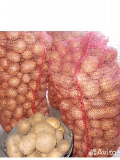 Продам картофель