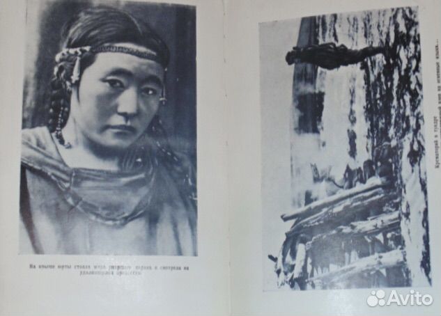 В краю огнедышащих гор - Камчатка Литвинов