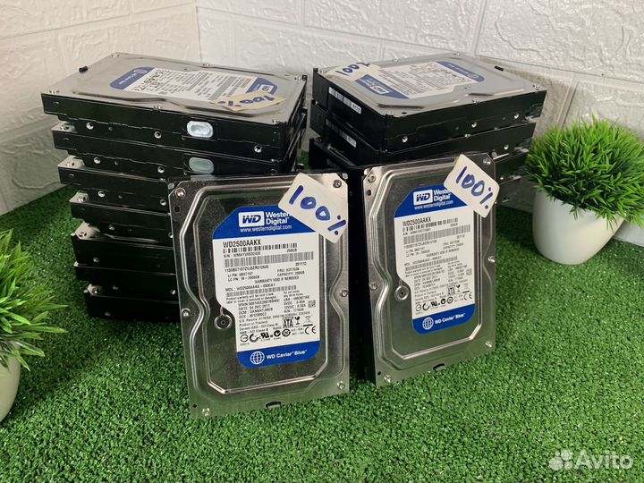Жёсткие диски 3'5 250/320gb WD/Seagate Оптом