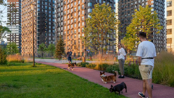 Квартира-студия, 24,2 м², 21/24 эт.