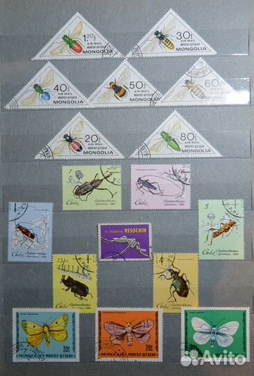 Очаровательные Насекомые Марки почтовые