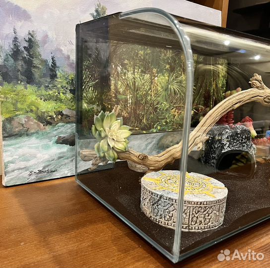 Террариум для рептилий