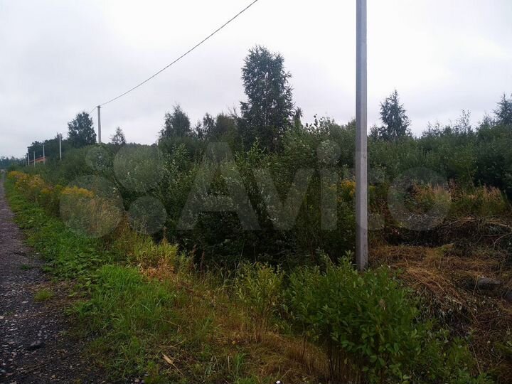 Участок 12 сот. (СНТ, ДНП)