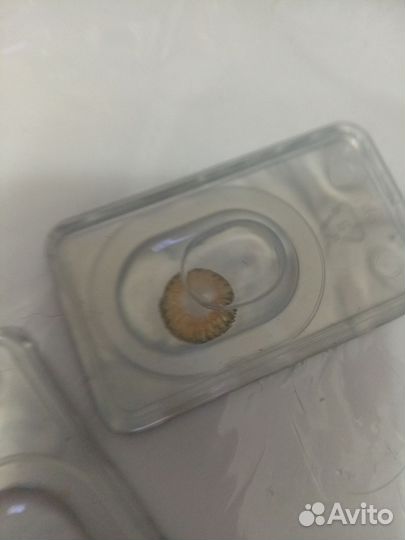 Цветные линзы без диоптрий