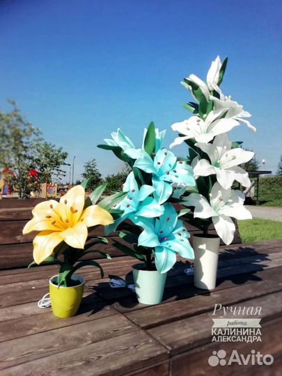 Ростовые цветы, лилия