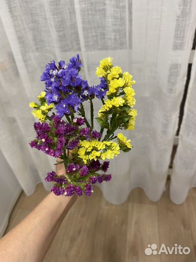 Сатица.Веточки на букет