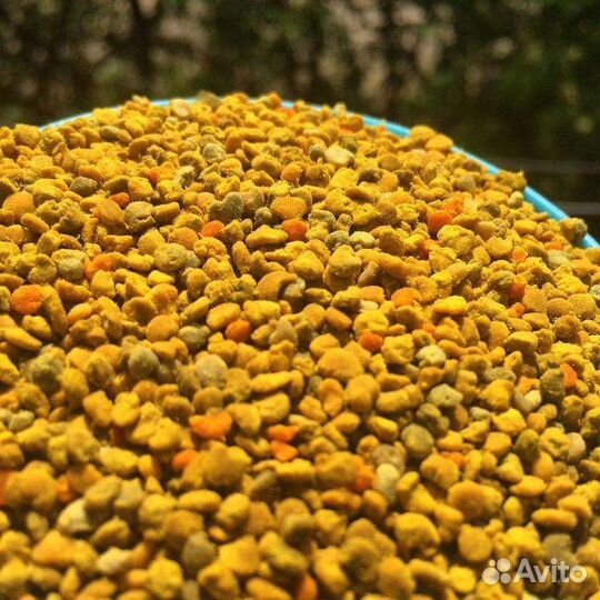 Пыльца пчелиная