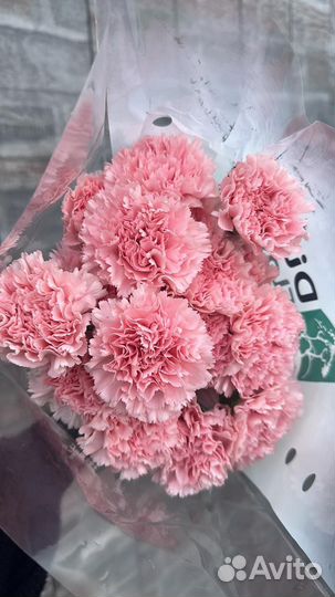 Свежесрезанные цветы, Букеты, розы, цветы