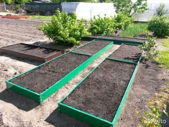 Грядки цветные