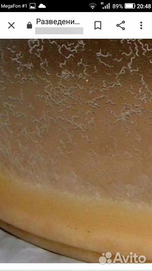 Корм для кормления рыбок