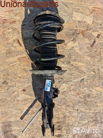 Стойка амортизатора передняя Toyota C-HR