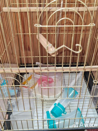 Большая клетка для птиц
