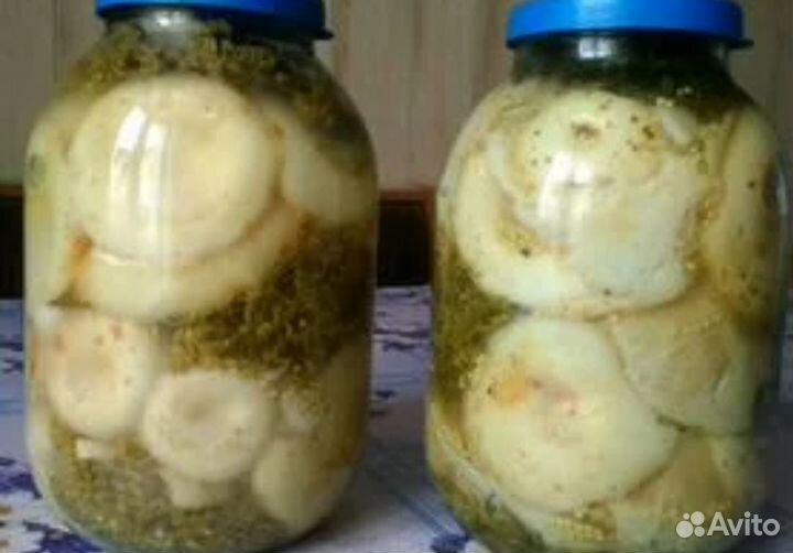 Сырые грузди