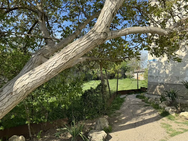 Участок 8,6 сот. (ИЖС)