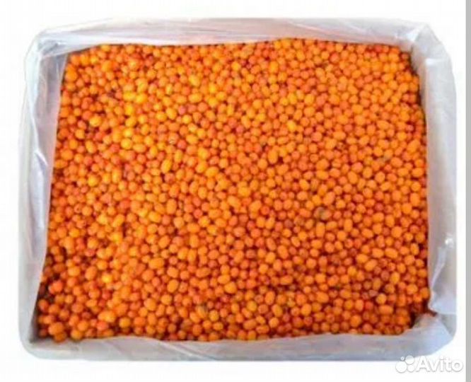 Облепиха заморозка