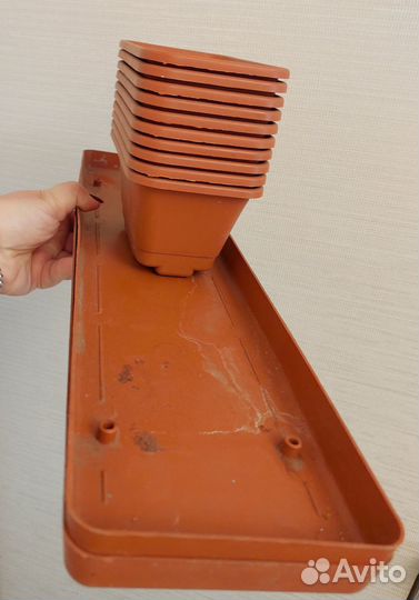 Горшки для рассады цветов