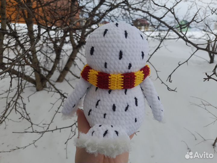 Сова Букля