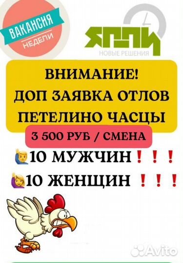 Вахта г.Одинцова д.Часцы работник на отлов цыплят
