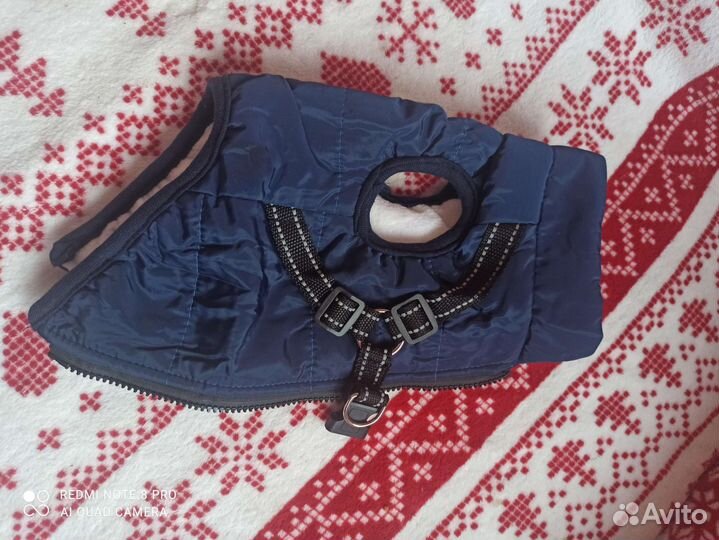 Одежда для маленьких собак