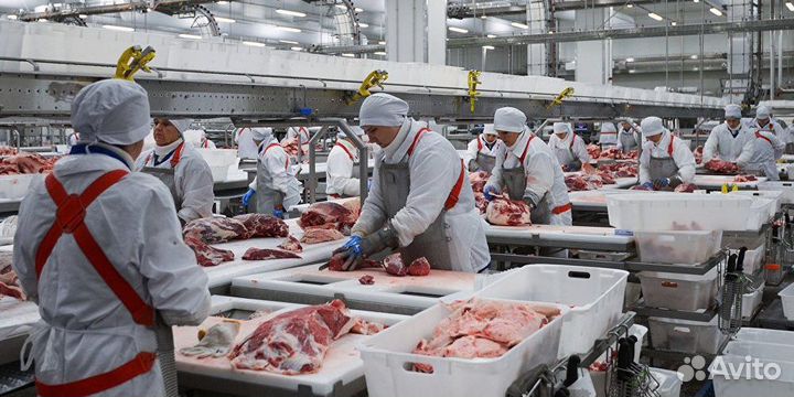 Разнорабочий в мясной цех/вахта с проживанием