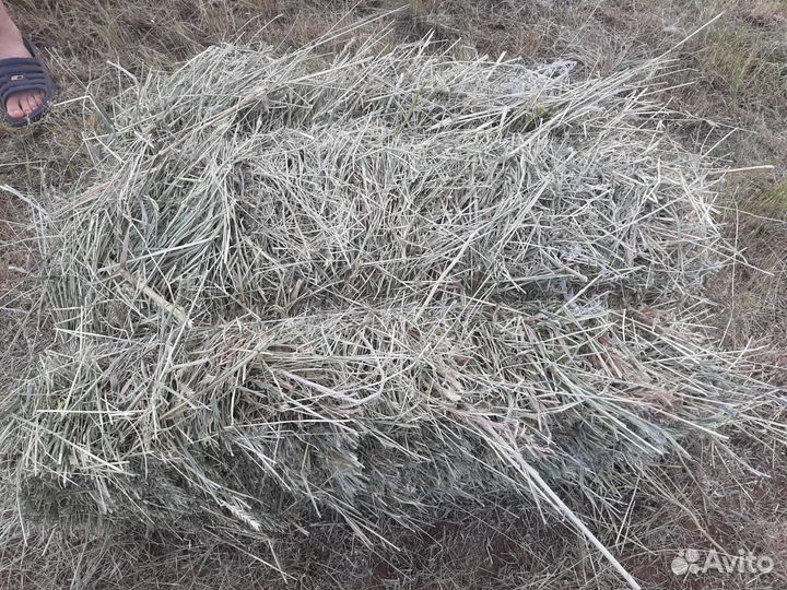 Сено луговое в тюках