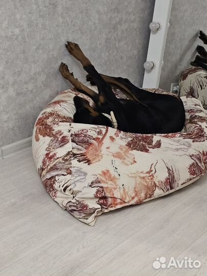 Девочка добермана 4, 5мес. продам