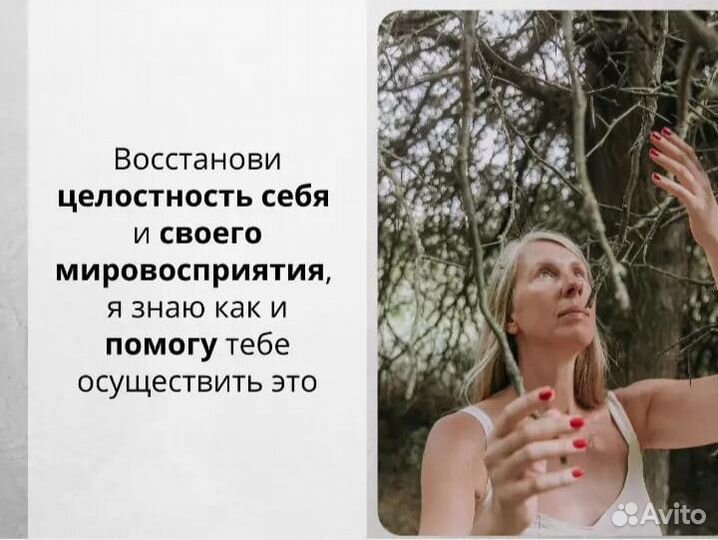 Рунолог, Наставник, Регрессолог