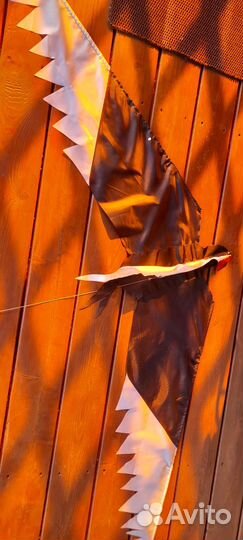 Воздушный змей(Сорока)