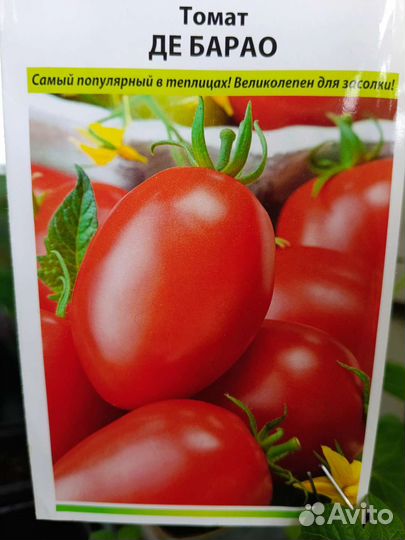 Рассада помидор/перцев
