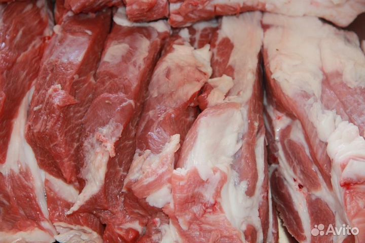 Мясо свинина домашняя