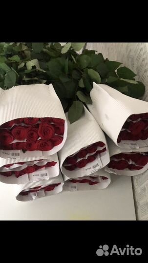 Розы оптом высокие