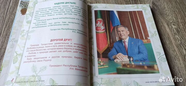 Книга Хвойная сказка