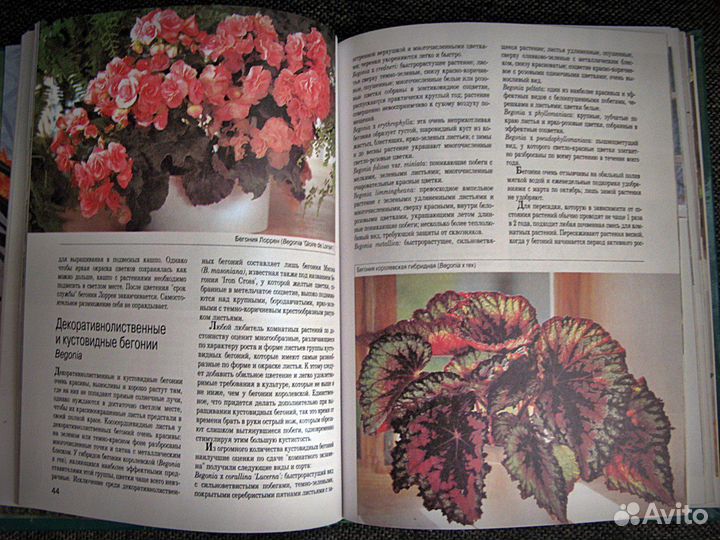 Мини-энциклопедия Комнатные растения