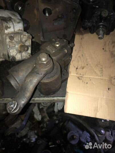 Гур на газель