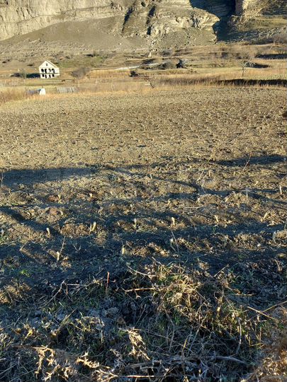 Участок 15 сот. (СНТ, ДНП)