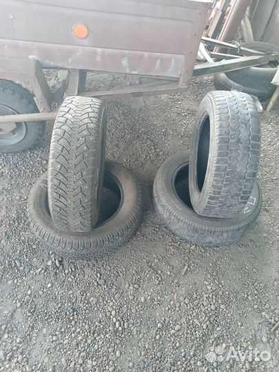 Tunga Tunga 6/6 R15