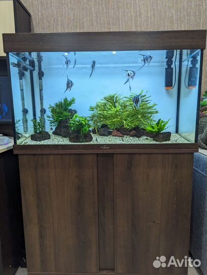 Аквариум 160 литров