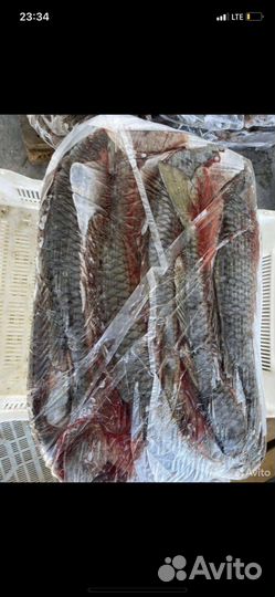 Рыба доставкой за границу