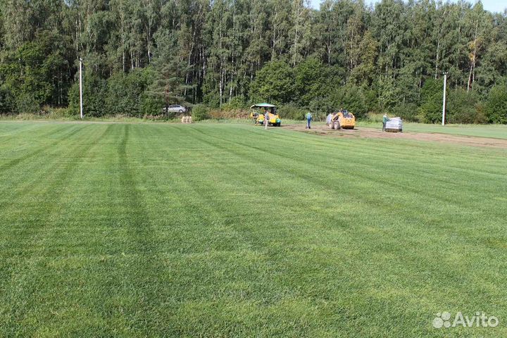 Укладка и продажа рулонного газона