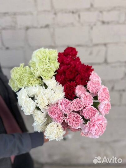 Цветы оптом Гвоздика оптом