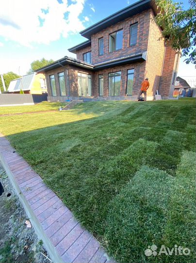 Рулонный газон под ключ