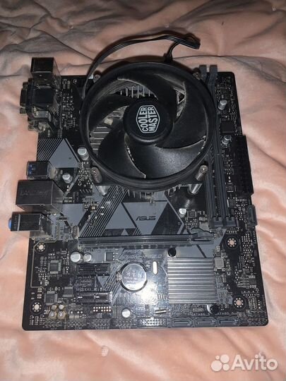 Asus prime H310M-K R2.0 + Intel Core i3-9100F